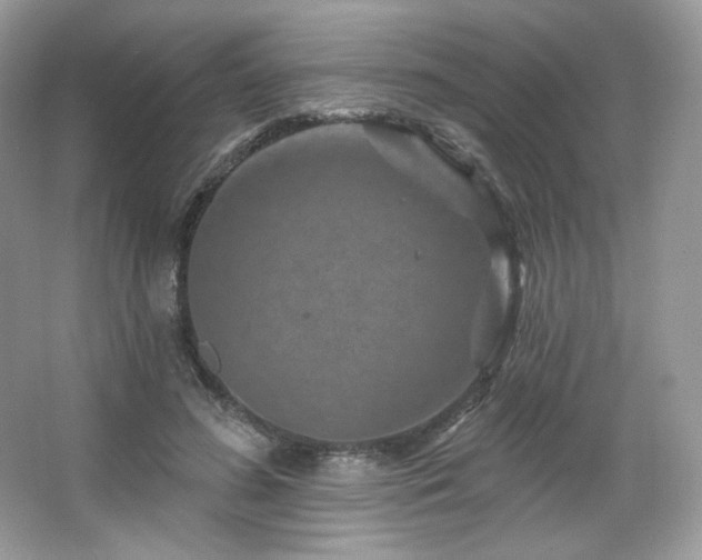 X0000065260596200602171456