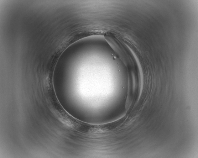 X0000065260597200602171456