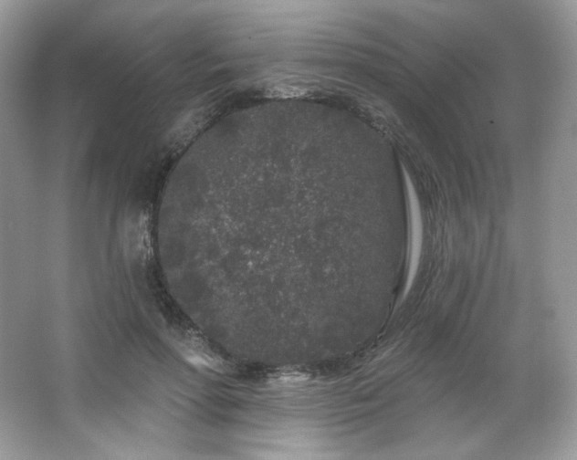 X0000065260598200602171456