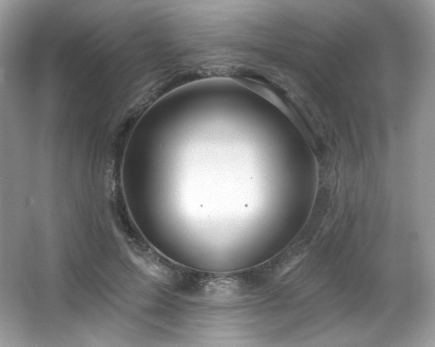 X0000065260599200602171456