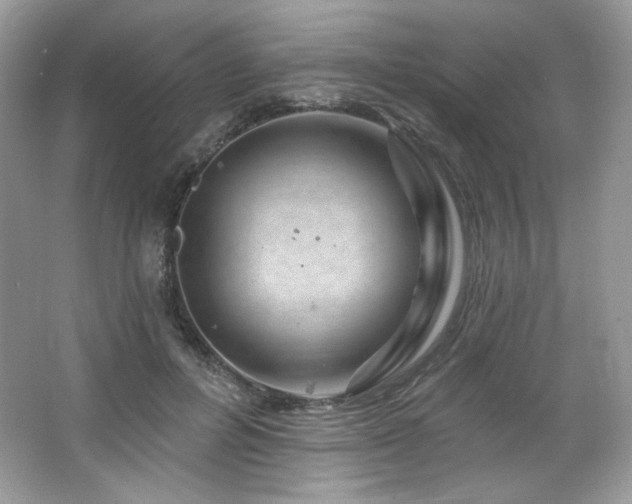 X0000065260600200602171456