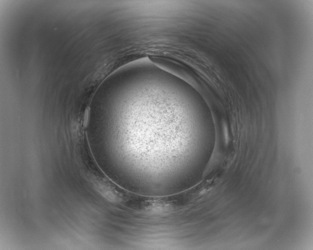 X0000065260601200602171456