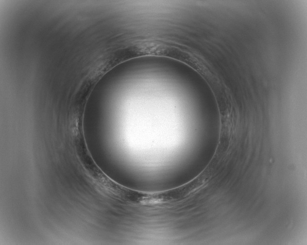 X0000065260602200602171456