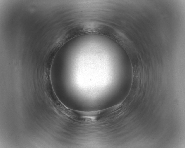 X0000065260603200602171456