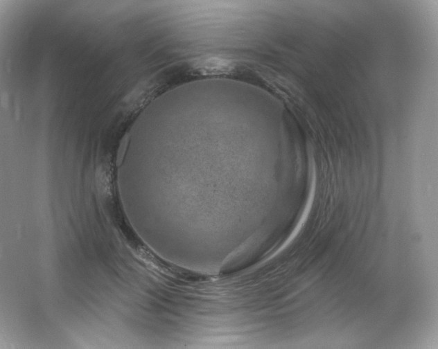 X0000065260604200602171456