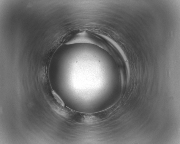 X0000065260605200602171456