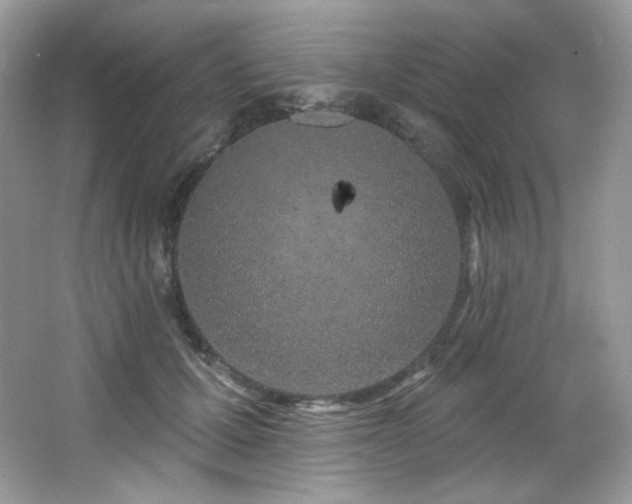 X0000065260607200602171456