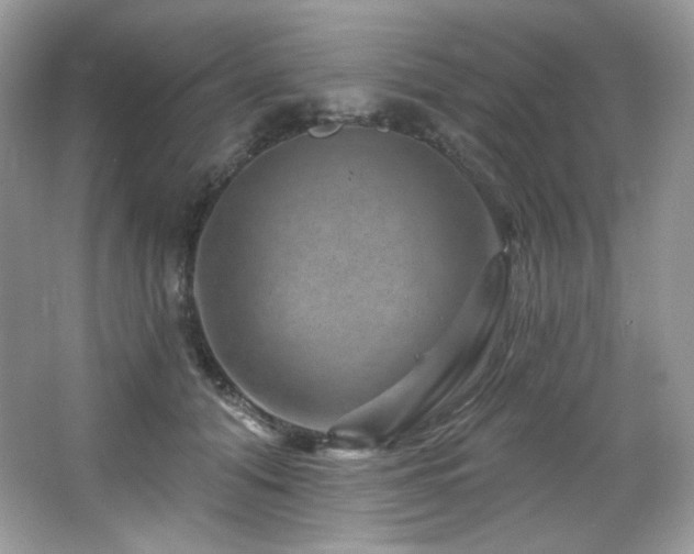 X0000065260608200602171456