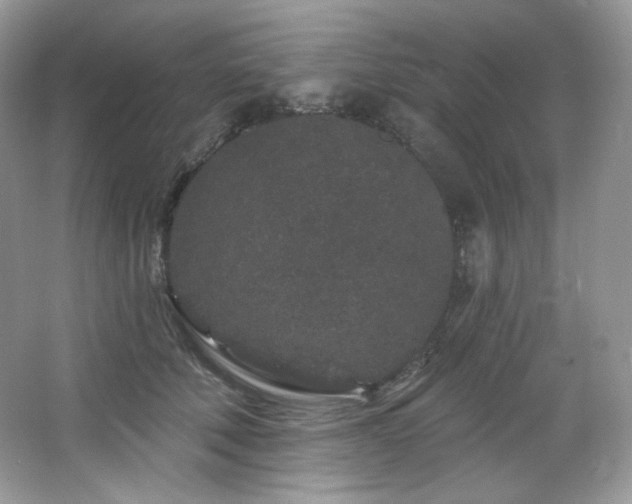 X0000065260610200602171456