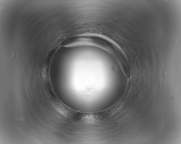 X0000065260611200602171456