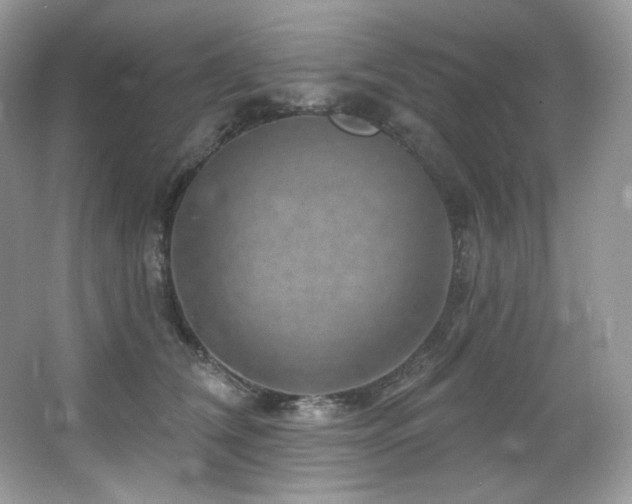 X0000065260612200602171456