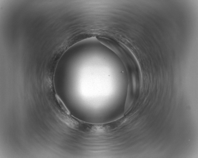 X0000065260613200602171456