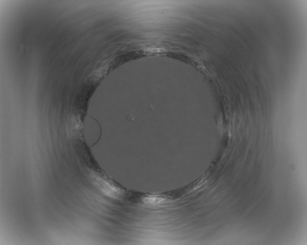 X0000065260614200602171456