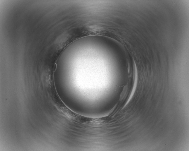 X0000065260615200602171456