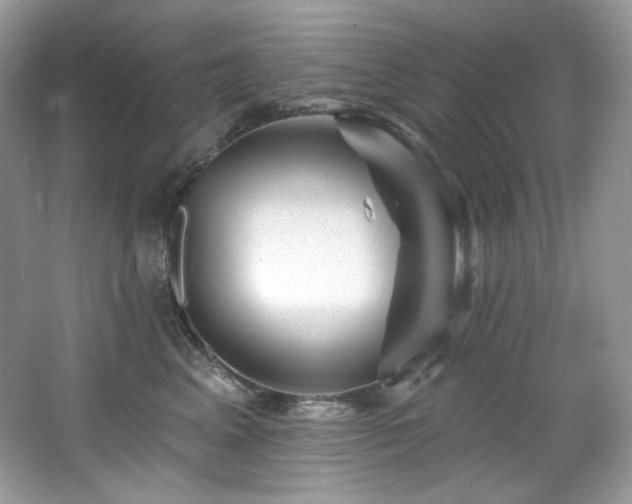 X0000065260617200602171456