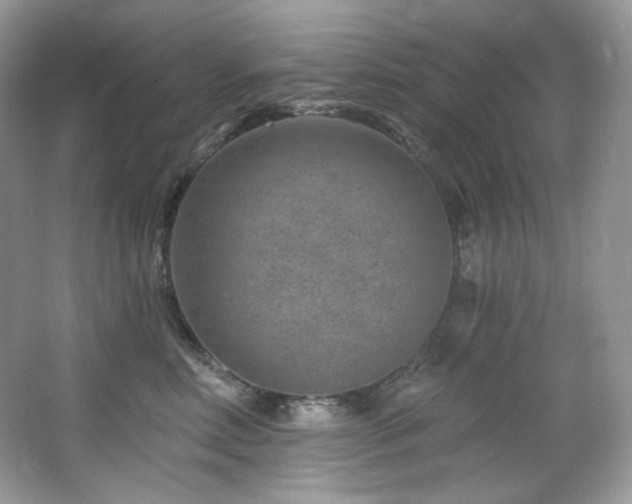 X0000065260618200602171456