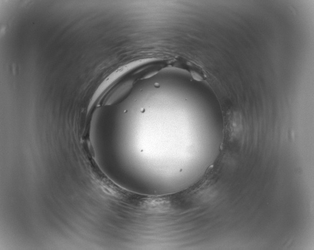 X0000065260619200602171456