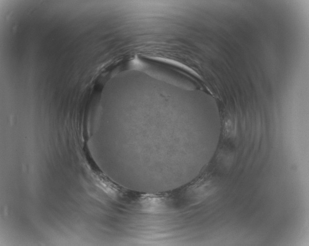 X0000065260620200602171456