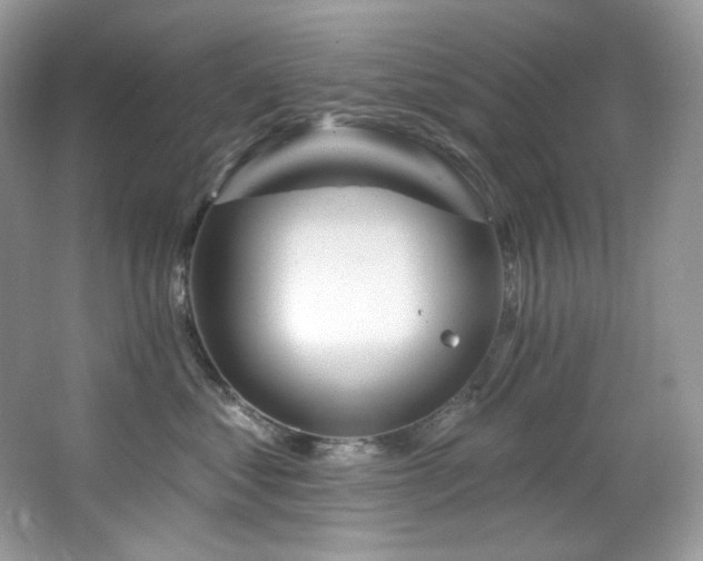 X0000065260621200602171456