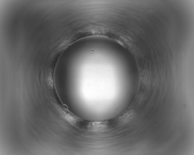 X0000065260622200602171456