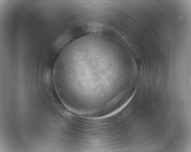 X0000065260623200602171456