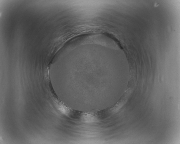 X0000065260624200602171456