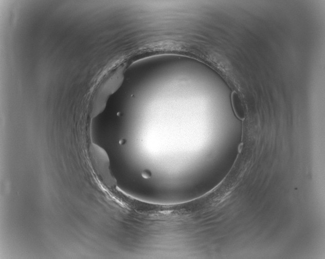 X0000065260625200602171455