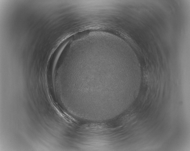 X0000065260626200602171455