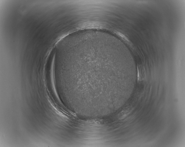 X0000065260627200602171455