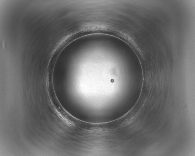 X0000065260629200602171455