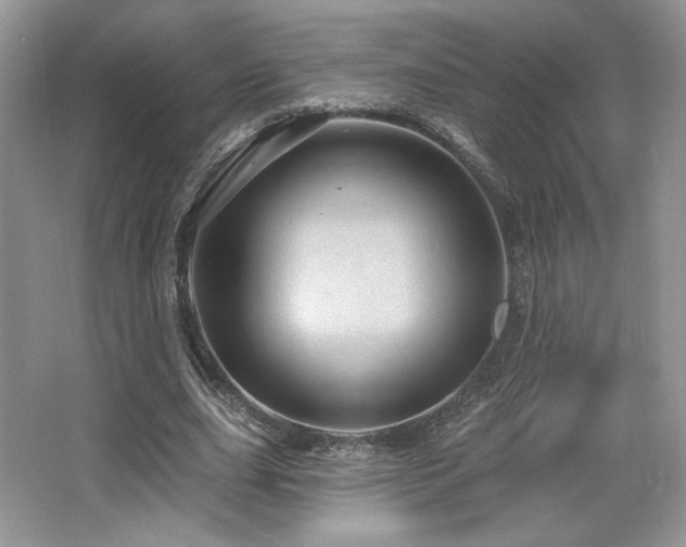 X0000065260631200602171455