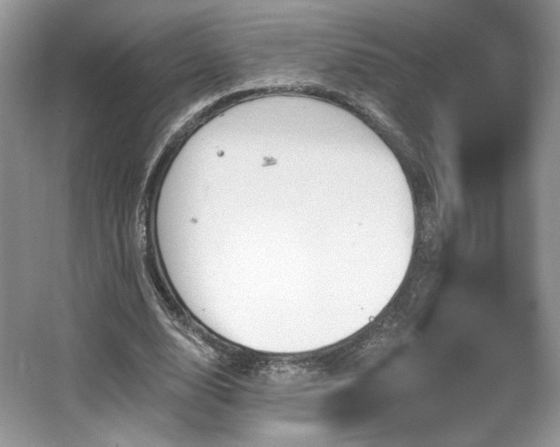 X0000065260632200602171455