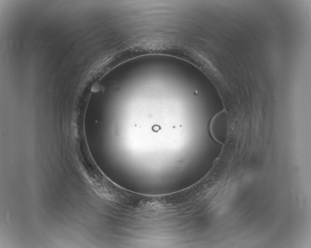 X0000065260635200602171455