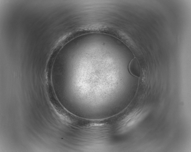 X0000065260636200602171455