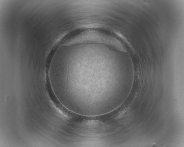 X0000065260637200602171455