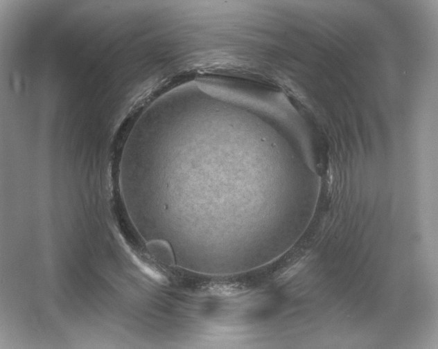 X0000065260638200602171455