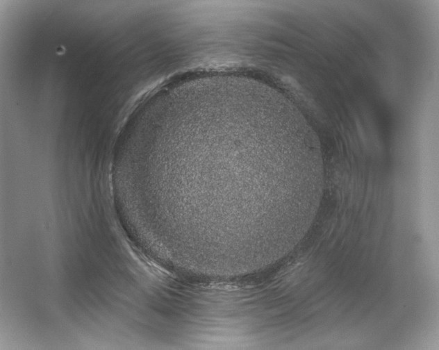 X0000065260640200602171455