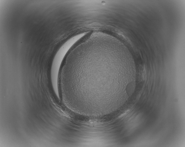 X0000065260641200602171455