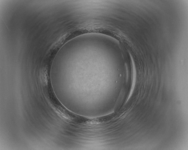 X0000065260644200602171455