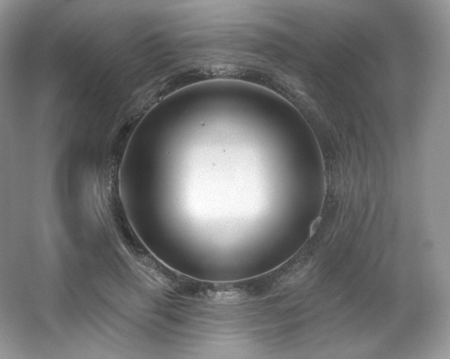 X0000065260645200602171456