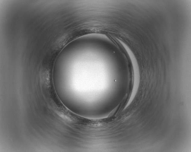 X0000065260646200602171456