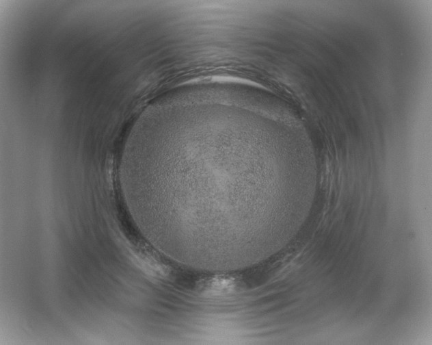 X0000065260647200602171456