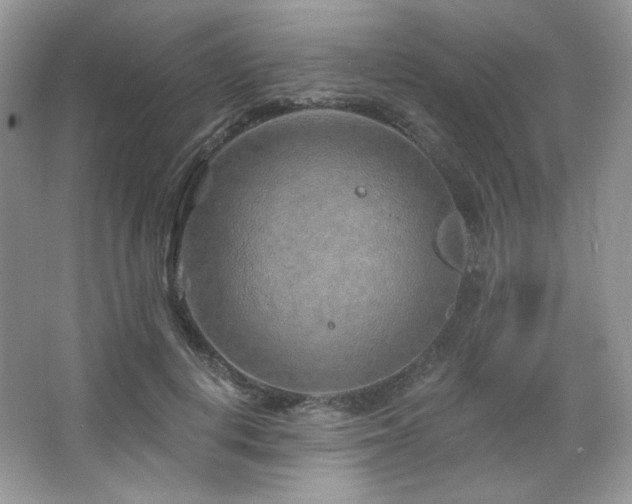 X0000065260648200602171456