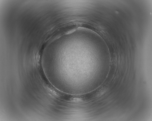 X0000065260649200602171456