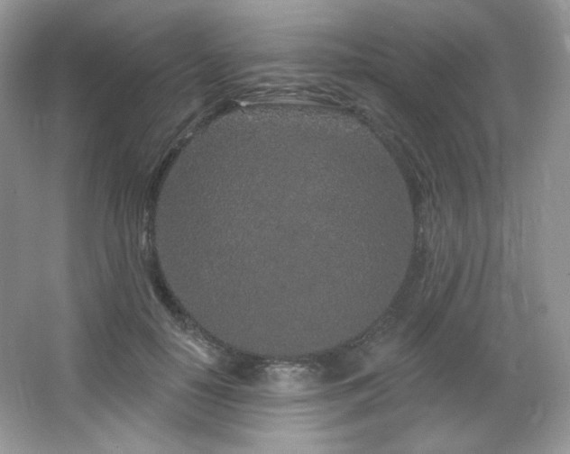 X0000065260650200602171456