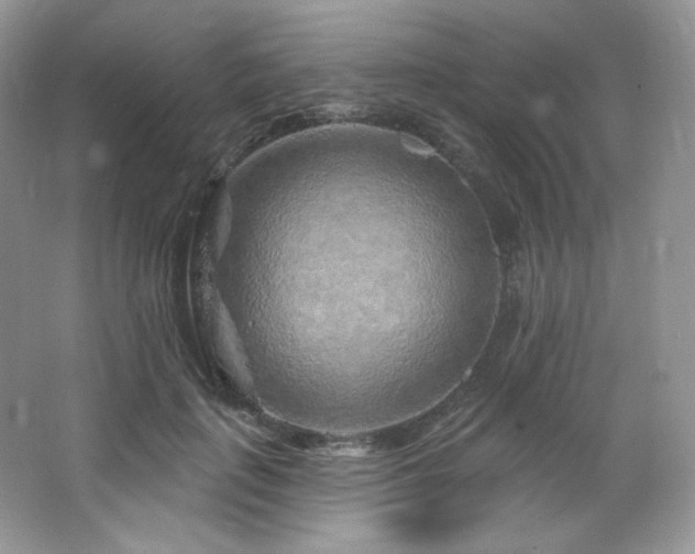 X0000065260651200602171456