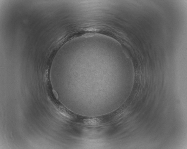 X0000065260652200602171456