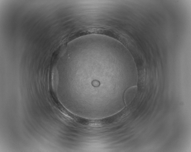 X0000065260653200602171456