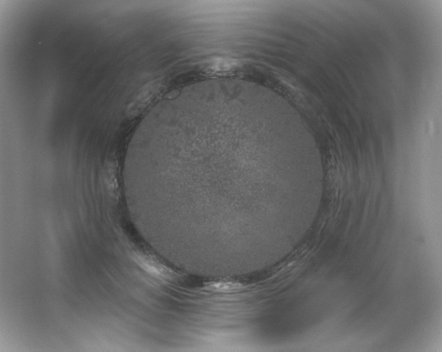 X0000065260654200602171456