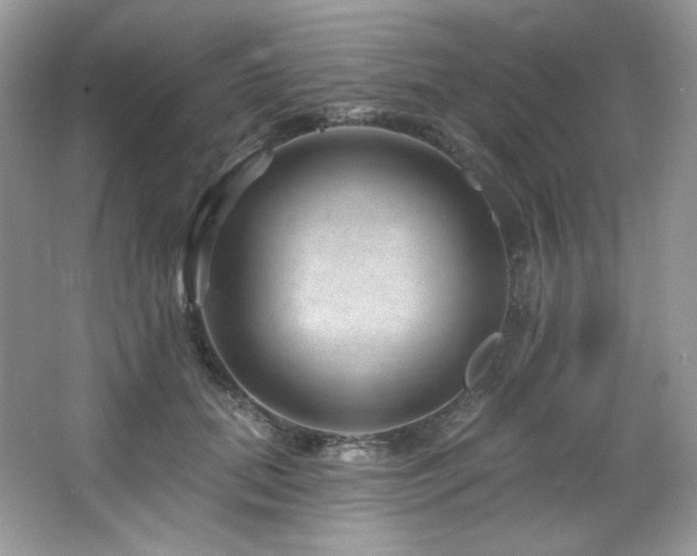 X0000065260655200602171456